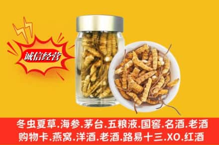 岚皋县回收散虫草